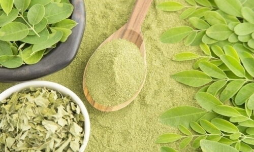 Moringa: para que serve, benefícios, como consumir (e como fazer o chá)